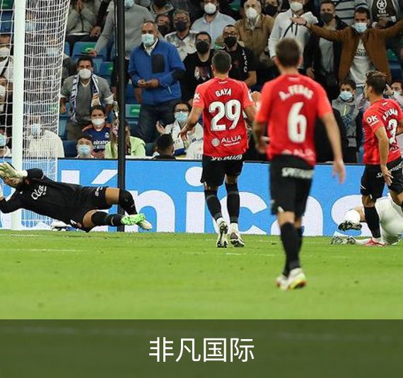 企业介绍
